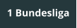 1 Bundesliga